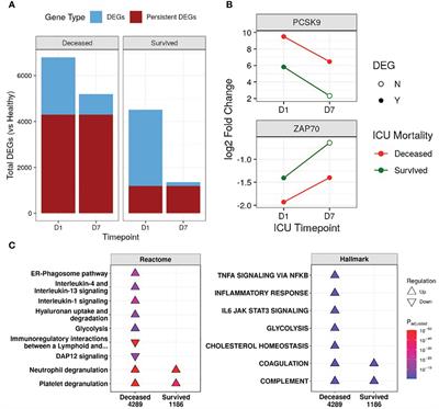 Persistence is key: unresolved immune dysfunction is lethal in both COVID-19 and non-COVID-19 sepsis